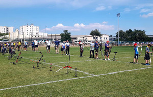 Finale Régionale TAE International à Villeurbanne et TAE National à Sallanche