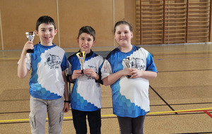 Tournoi Poussin U11 à Chaponost